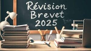 matieres brevet 2025